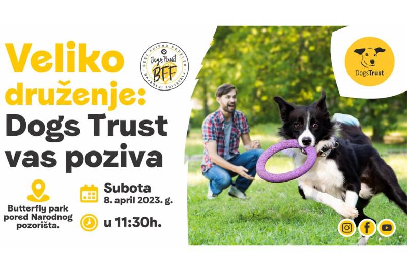 Veliko Dogs Trust druženje u Banjaluci