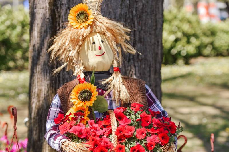 Biramo najuređenije dvorište: Prijave za tradicionalnu akciju do 20. juna