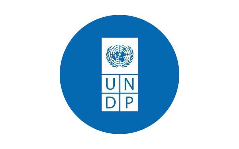 UNDP Intern (8 positions)