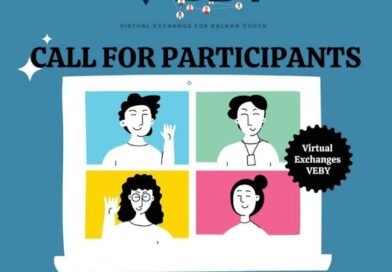 Call for Participants: VEBY Project Training