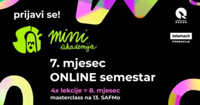 SAFMo mini akademija