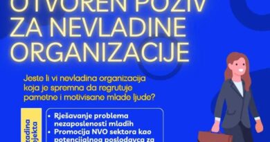 Poziv nevladinim organizacijama u Bosni i Hercegovini