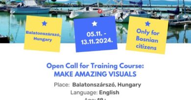 Open call for participants: Training course "Make amazing visuals"