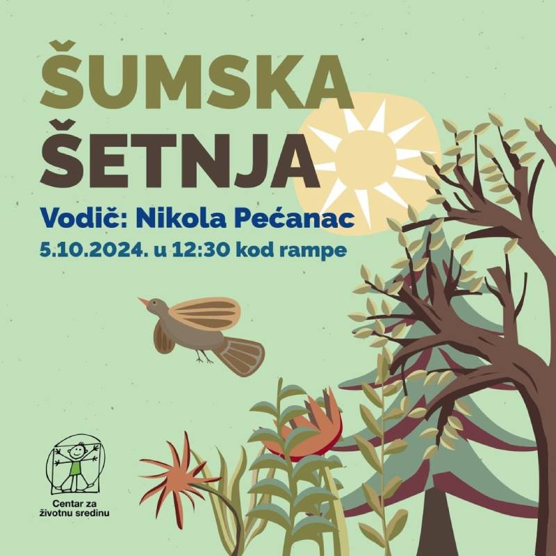 Šumska šetnja