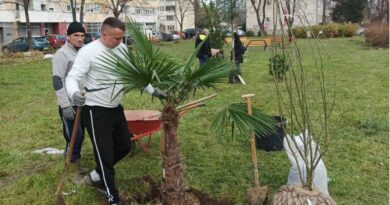 Banja Luka dobija neobični park sačinjen od rijetkih vrsta drveća