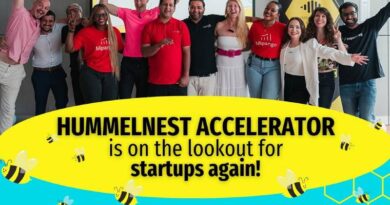 Hummelnest accelerator intercountry collaboration