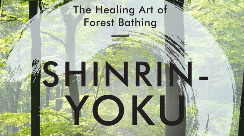 Tools for Peace: Shinrin Yoku - A tool for trainers to renew energy in our daily life